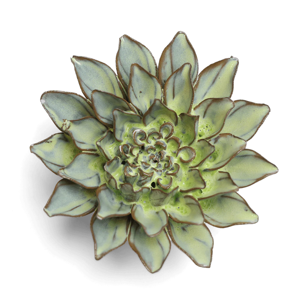 Green Aster Japan Ceramic Flower