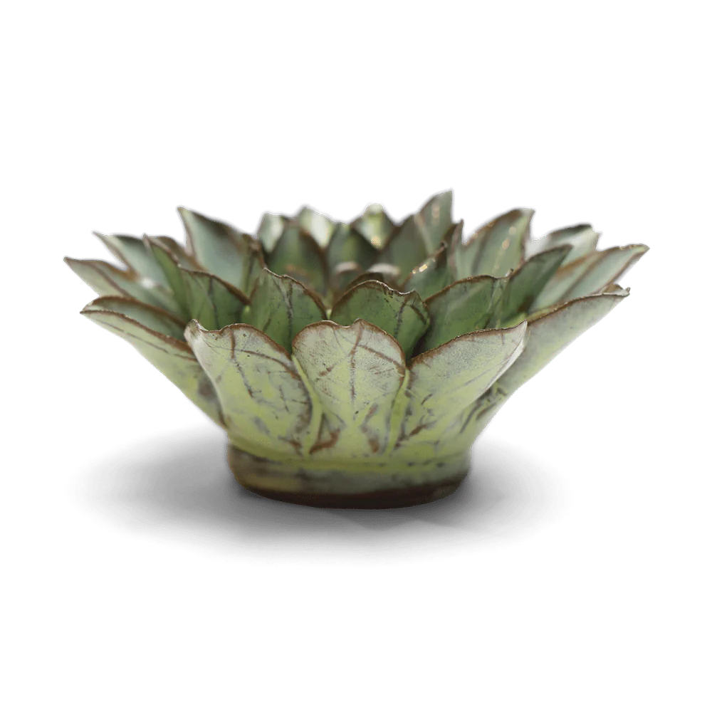 Green Aster Japan Ceramic Flower