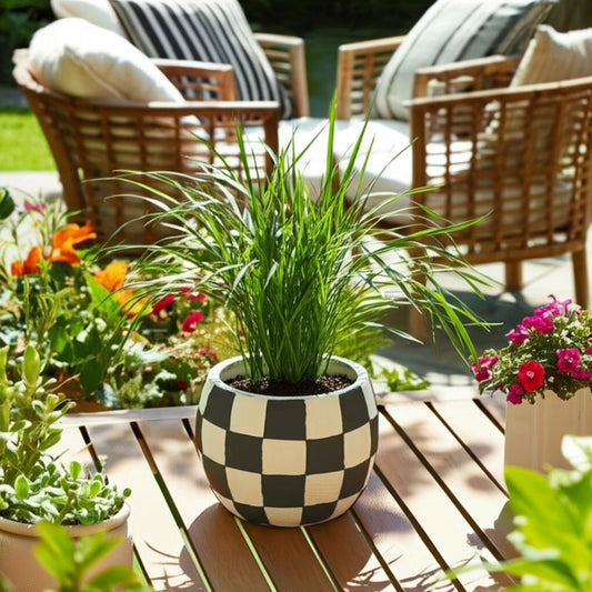 Checkerboard Planter