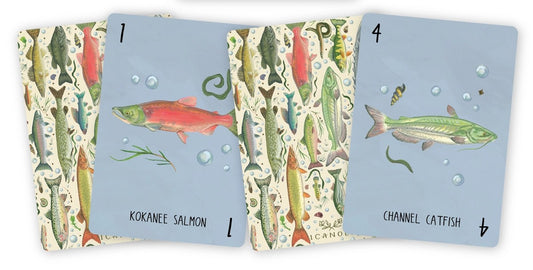 Freshwater Fish Go Fish Card Deck