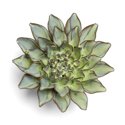 Green Aster Japan Ceramic Flower