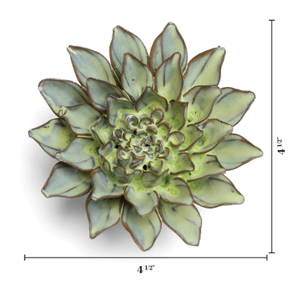 Green Aster Japan Ceramic Flower